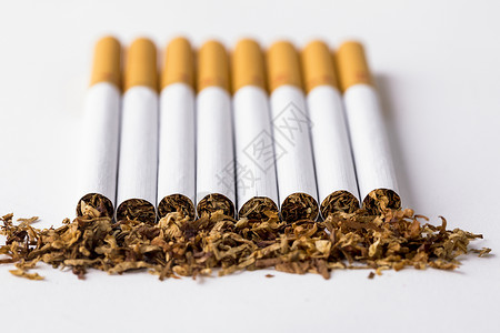 香烟危害健康花烟草高清图片