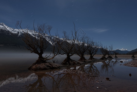 新西兰格林诺奇夜景背景图片