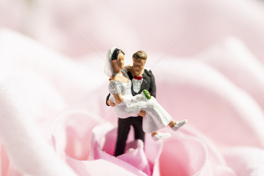 情人节结婚拥抱创意微距图片