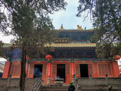 郑州旅游河南郑州少林寺背景