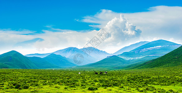 新疆天山下的草原唯美风景云高清图片素材