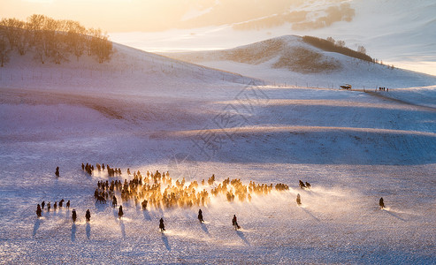 雪马雪地上奔驰的骏马图背景