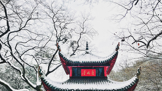 雪景岳麓山爱晚亭背景图片