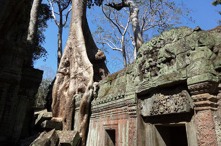 柬埔寨吴哥窟塔布隆寺图片
