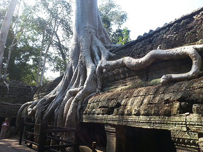 柬埔寨吴哥窟塔布隆寺旅游高清图片素材