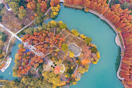 俯瞰武汉城市公园的秋天高清图片