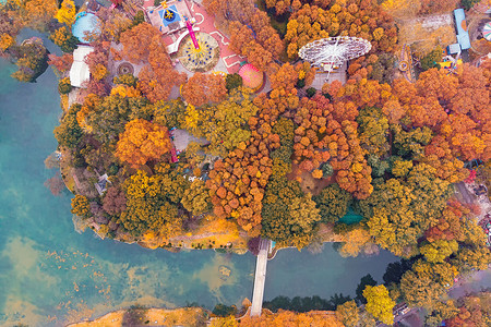 俯视花草俯瞰武汉城市公园的秋天背景