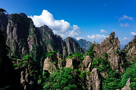 信你个鬼黄山旅游风景背景