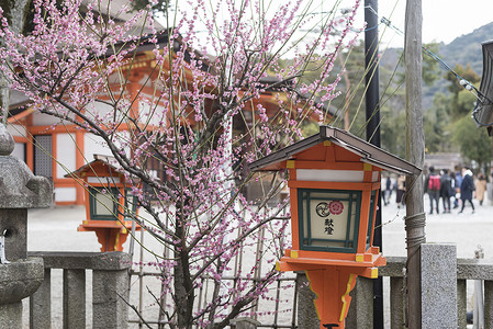 日本京都八坂神社高清图片