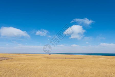 冬季青海湖背景