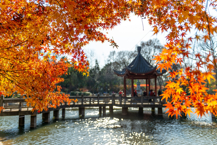 南京西霞山秋日风光图片