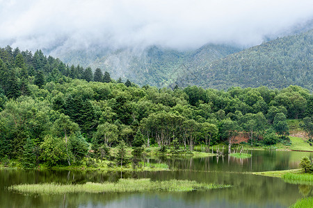 山水生态云南普达措国家公园背景