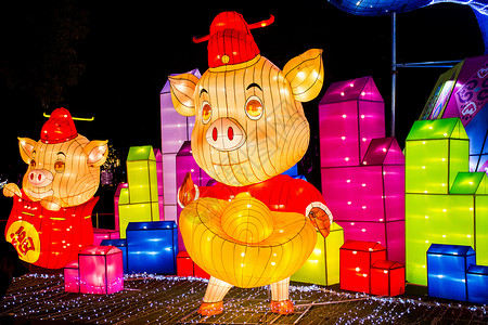 猪年灯会背景图片