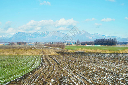 日本北海道十胜农场背景