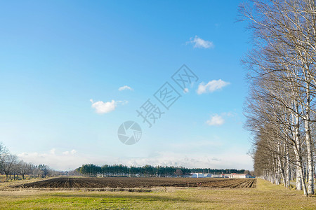 日本北海道十胜农场背景