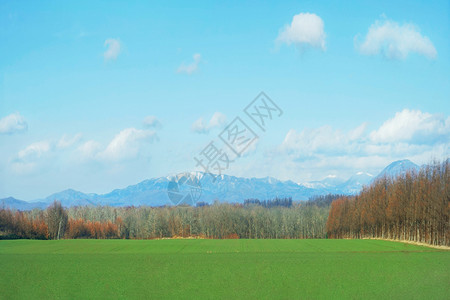 日本北海道十胜农场背景