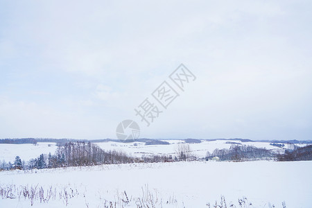 日本北海道富良野雪景图片