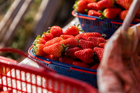 篮子里草莓新鲜草莓背景