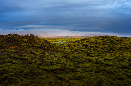 冰岛地衣冰岛火山岩地质植被背景