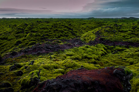 冰岛地衣冰岛火山岩地质植被背景