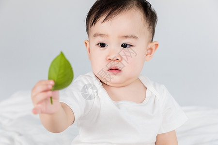 婴儿拿叶子背景图片