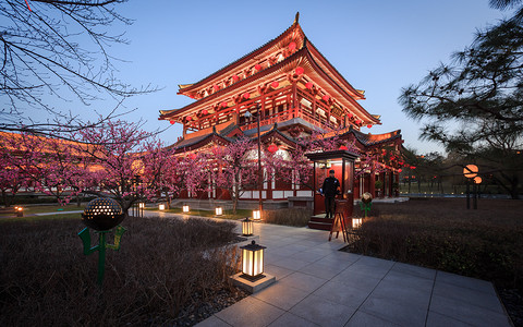 西安大唐芙蓉园背景