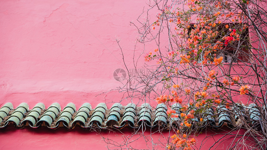 摩洛哥粉色墙壁图片