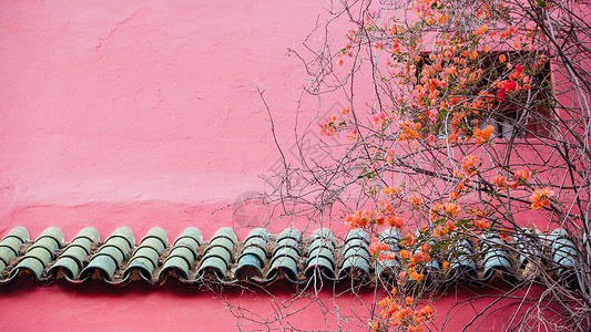摩洛哥粉色墙壁图片