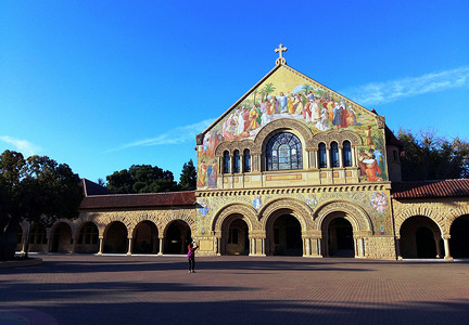 美洲金猫美国西部行斯坦福大学背景