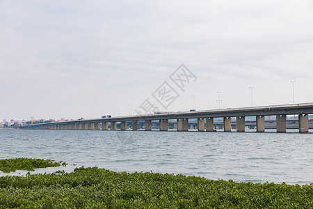 厦门大桥跨海大桥图片