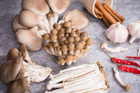 菌菇健康食品鲜平菇高清图片