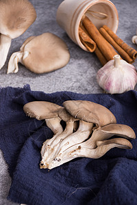 菌类食材平菇在桌面上图片