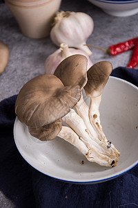 菌类食材平菇在碗里背景图片