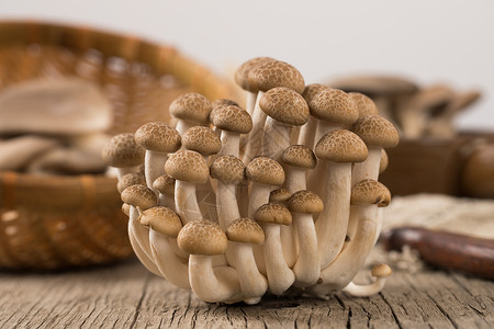 菌类食品蟹味菇高清图片