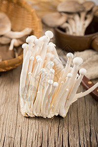 菌类白玉菇背景图片