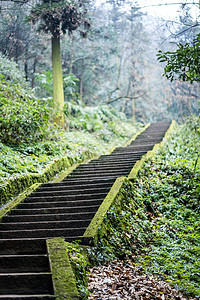 峨眉山山路台阶图片