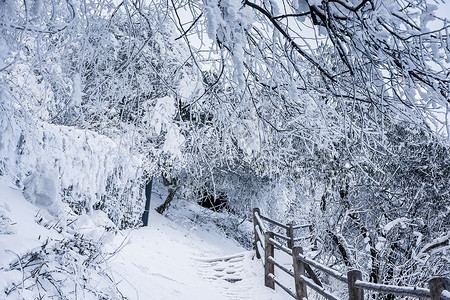 峨眉山雪景背景图片