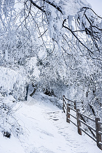 峨眉山雪景背景图片