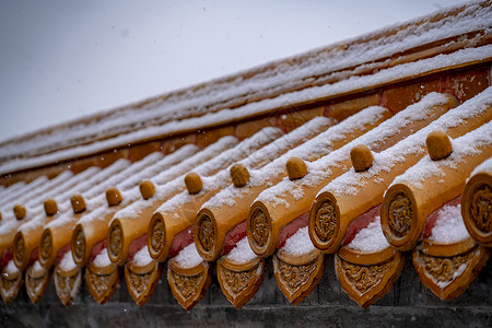 北京地坛公园雪飘宫殿背景