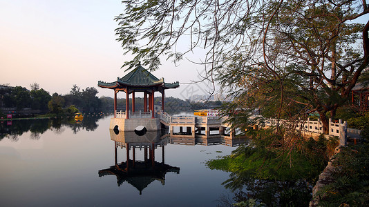 小西湖残荷惠州西湖背景