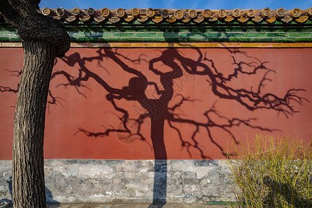 北京景山公园寿皇殿背景图片