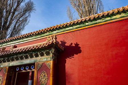 北京景山公园寿皇殿背景图片