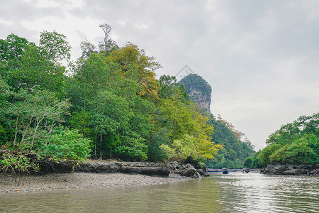 红树林游船马来西亚兰卡威红树林背景