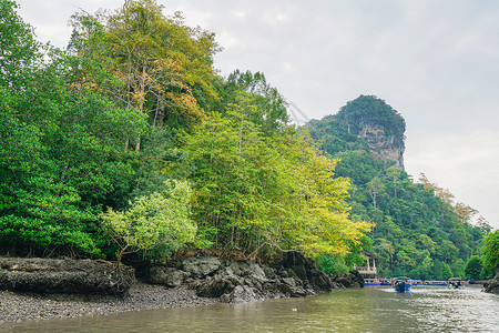 红树林游船马来西亚兰卡威红树林背景