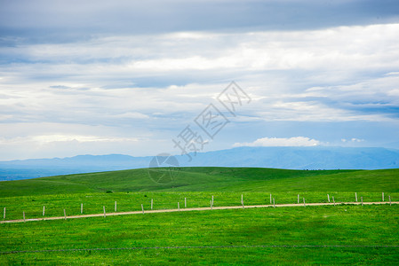 新疆天山草原天气背景图片