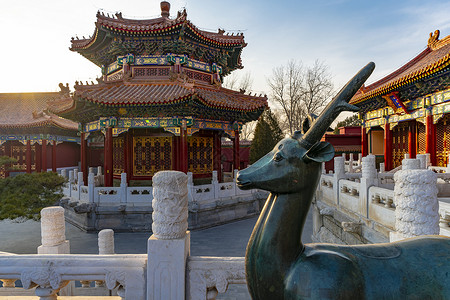 鹿中国风北京景山公园-寿皇殿背景