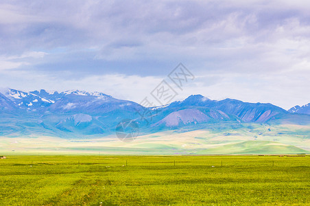 新疆高山草原风景高清图片素材