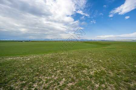 新疆草原背景图片