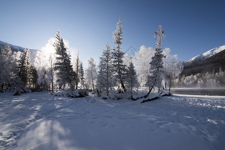新疆喀纳斯冬季雪景背景图片