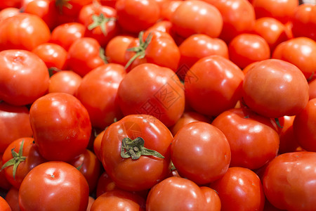 西红柿背景背景图片